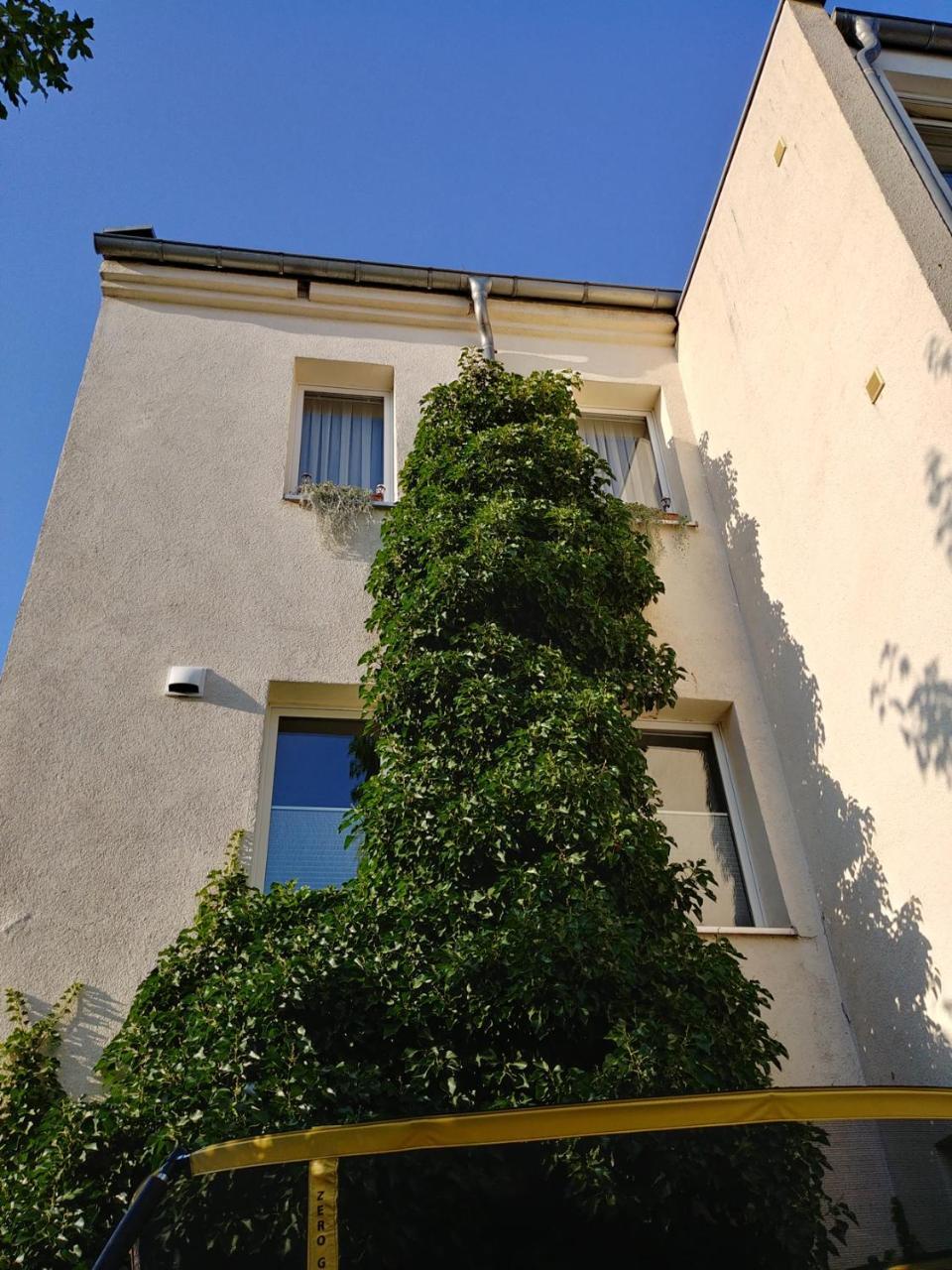 Gapart - Apartments Mit Kueche Leipzig Eksteriør bilde